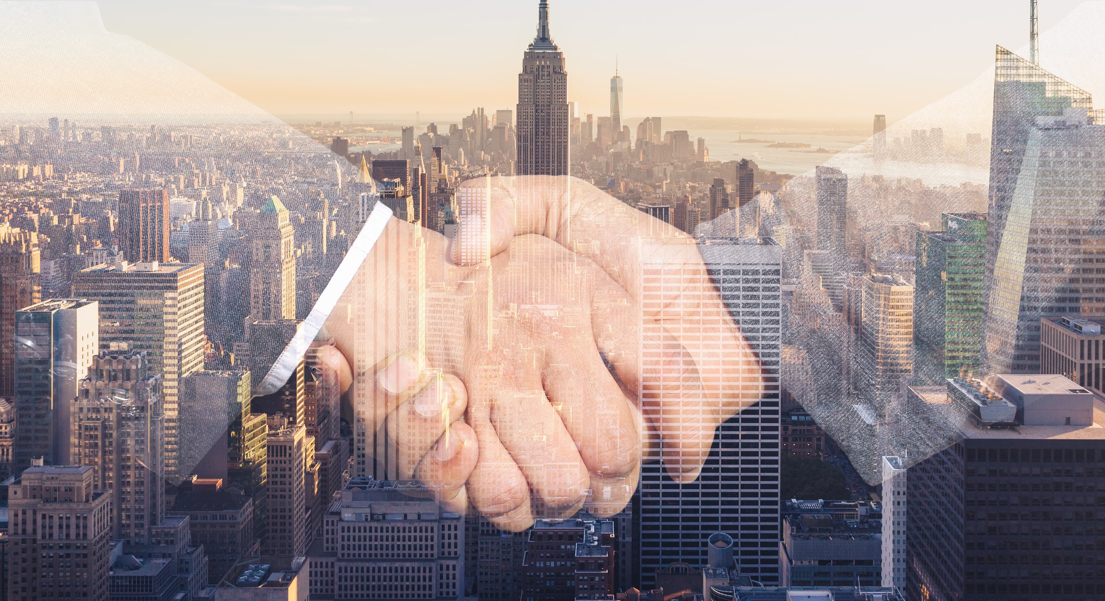 Executive Consultation & Partnership